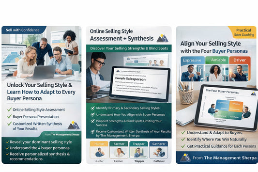 Selling Style Assessment + Personalized Sales Effectiveness Analysis