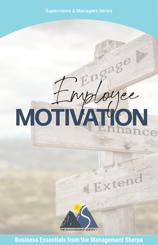 Employee Motivation [eBook]