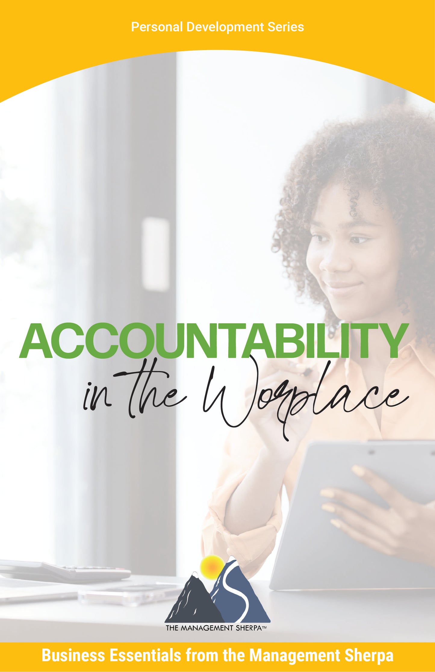 Accountability in the Workplace [eBook]