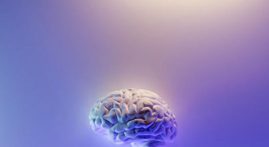 Mente Líquida: Flexibilidad, Apertura y Agilidad Mental